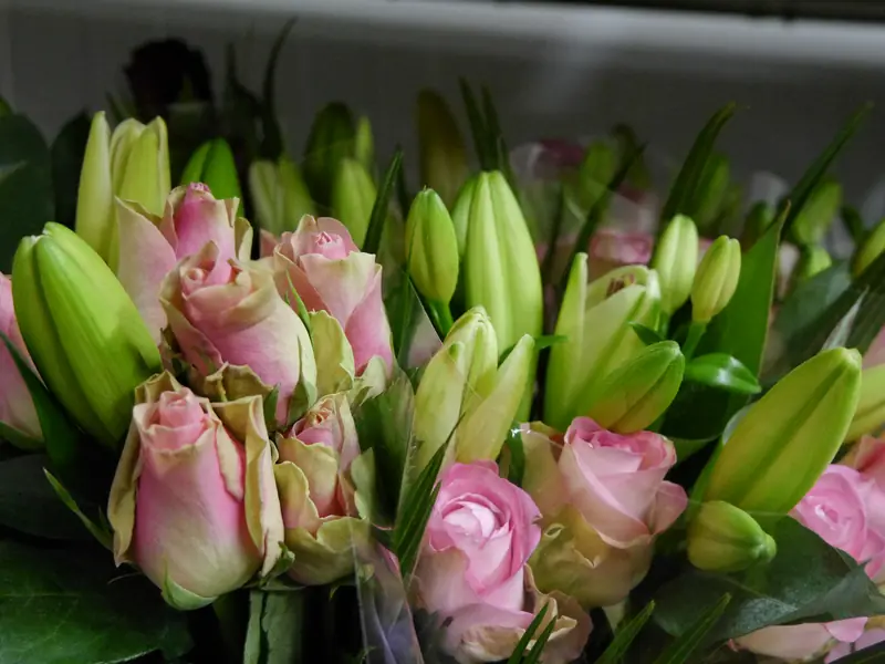 Bossen lelies en rozen in knop, klaar voor verwerking