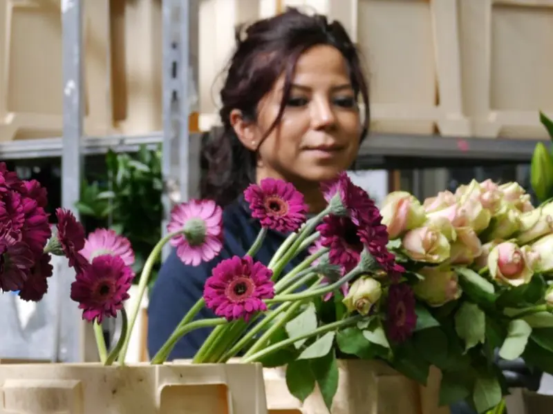 Medewerker schikt roze gerbera’s en rozen in een doos